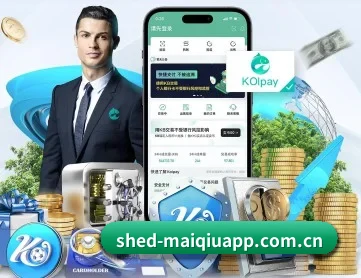 买球 APP 深度功能